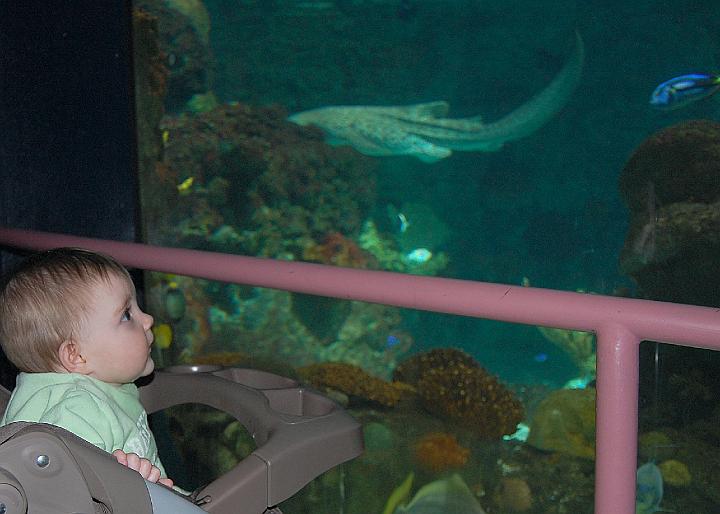 DSC_1700a.jpg - Me at the Zoo