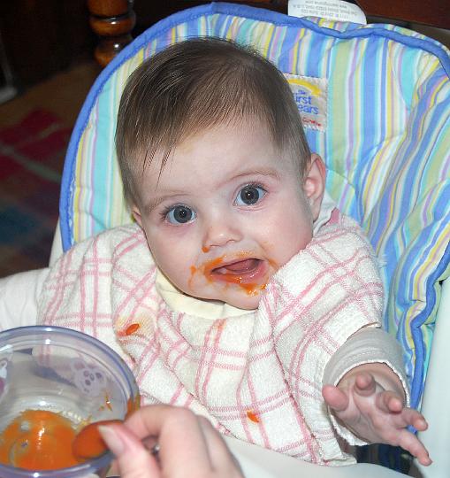 DSC_1373a.jpg - Look at me eating my carrots.