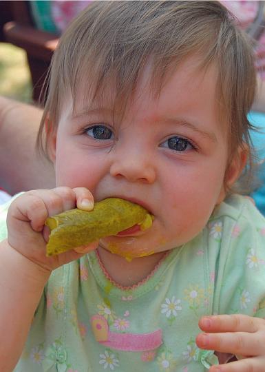 DSC_1926a.jpg - I like Pickles.....